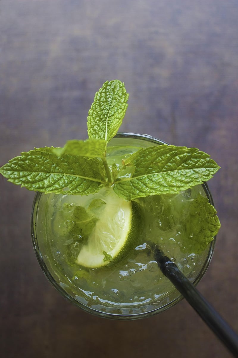 Herbal Cocktails
